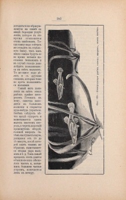 Золотницкий Н.Ф. Аквариум любителя. Подробное описание водяных животных и растений для аквариума, устройства аквариума, ухода за ним и проч. С 263 политипажами и 2 табл. 3-е изд., соверш. переделанное. М.: Изд. А.А. Карцева, 1904.